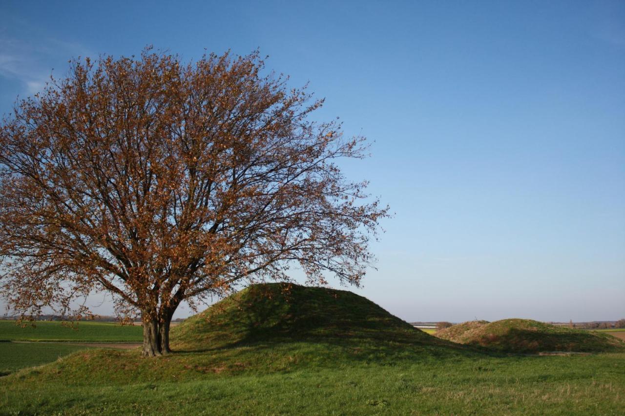 Hoeve Jadoul Gingelom Exterior photo